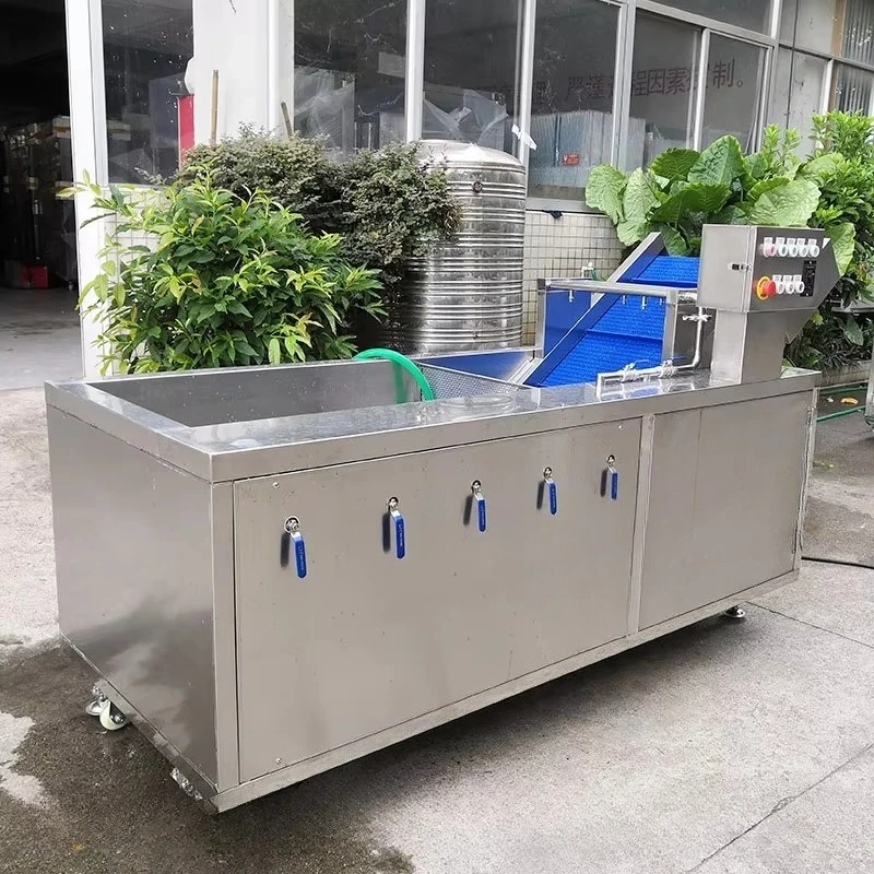 Automatic Fruit & Vegetable Washing Machine for Tomato Food Processing Line Cleaning Equipment