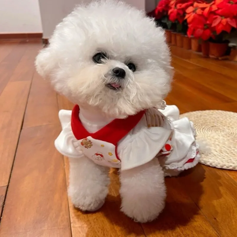 Pet Dog Princess Dress Teddy Bears clothes Maltese Dog Clothes Puppy Dresses for Small Dogs