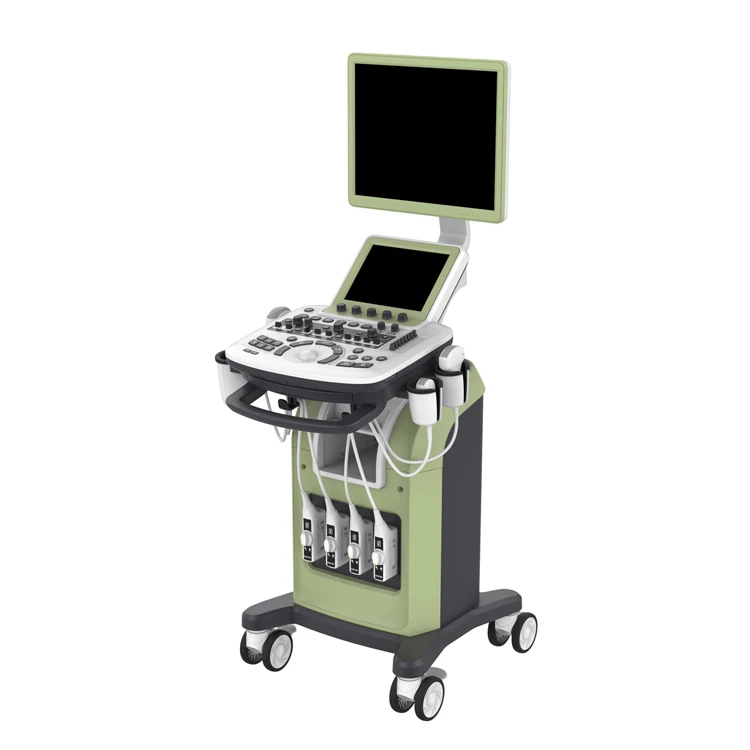 Professional 4D Diagnostic Trolley Color Doppler Handheld  Ultrasound Machine for Human and Vet Price Competitive