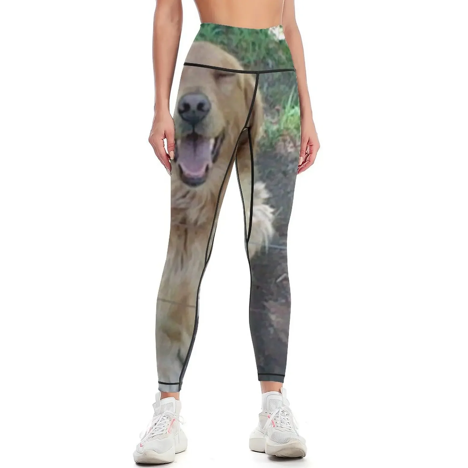 

Happy Golden Retriever Leggings Women's sports pants Training pants for fitness sport legging Womens Leggings