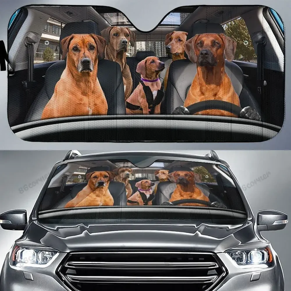 Rhodesian Ridgeback Family Driving Car Sunshade, Rhodesian Ridgeback Family Car Sunshade for Windshield, Rhodesian Ridgeback Lov