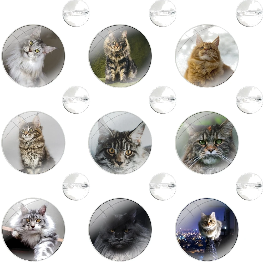 pet maine coon cat Badge Brooch Pin Accessories For Clothes Backpack Decoration gift