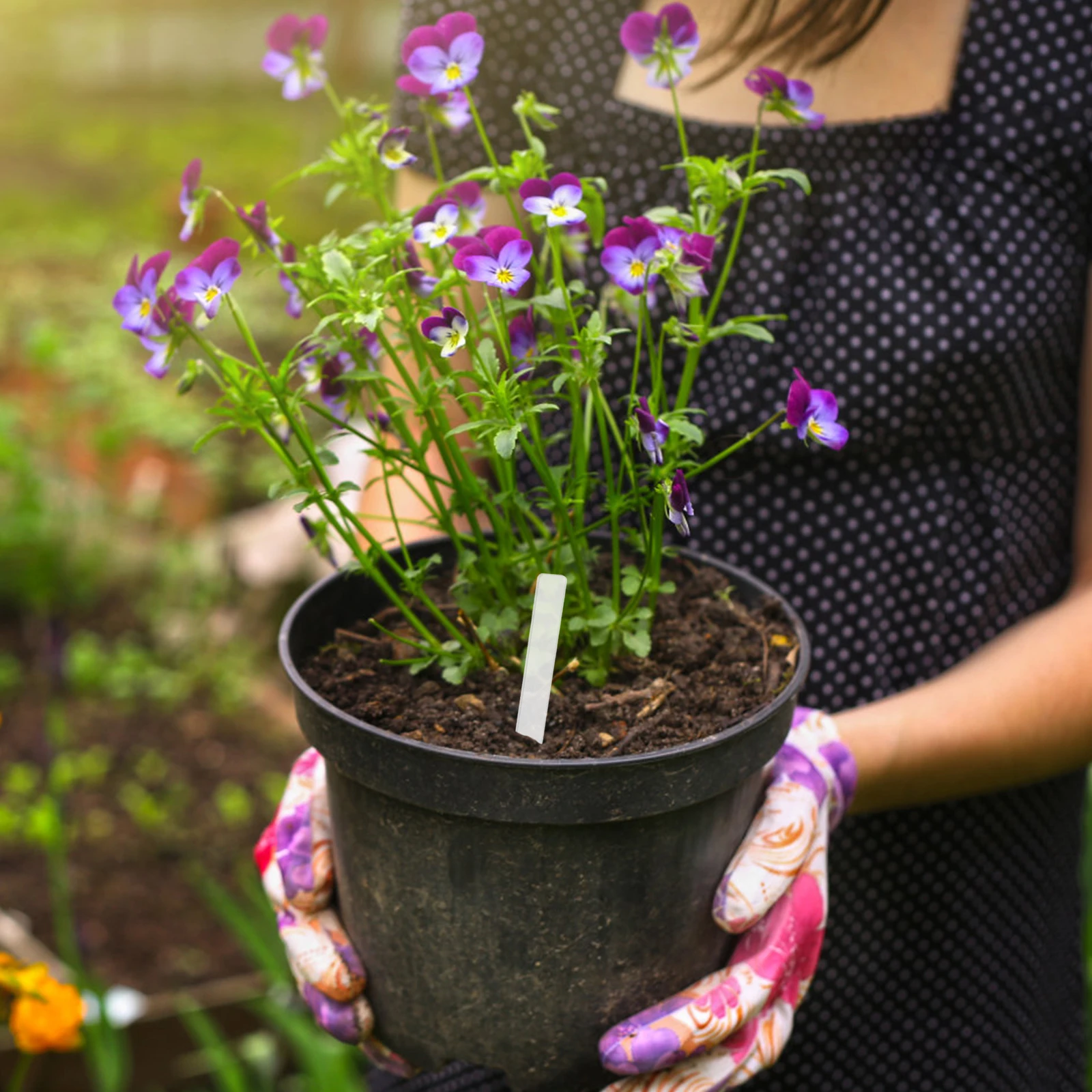 

48Pcs Acrylic Plant Labels Durable Garden Markers Lightweight Insert Soil for Flower Pots Gardens Succulent Plant