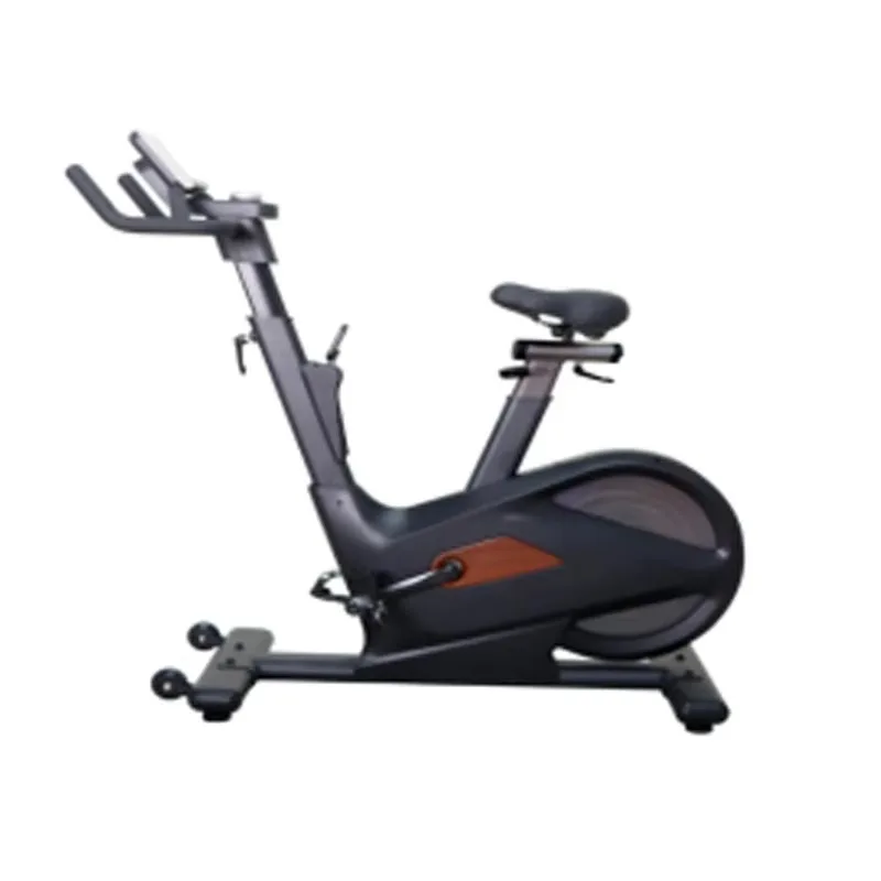 Spin Bike Optional 10.1 Inch 15.6 Inch 21.5 Touch Screen Adjustable Indoor Exercise Gym Equipment Cardio Training Spinning Bike