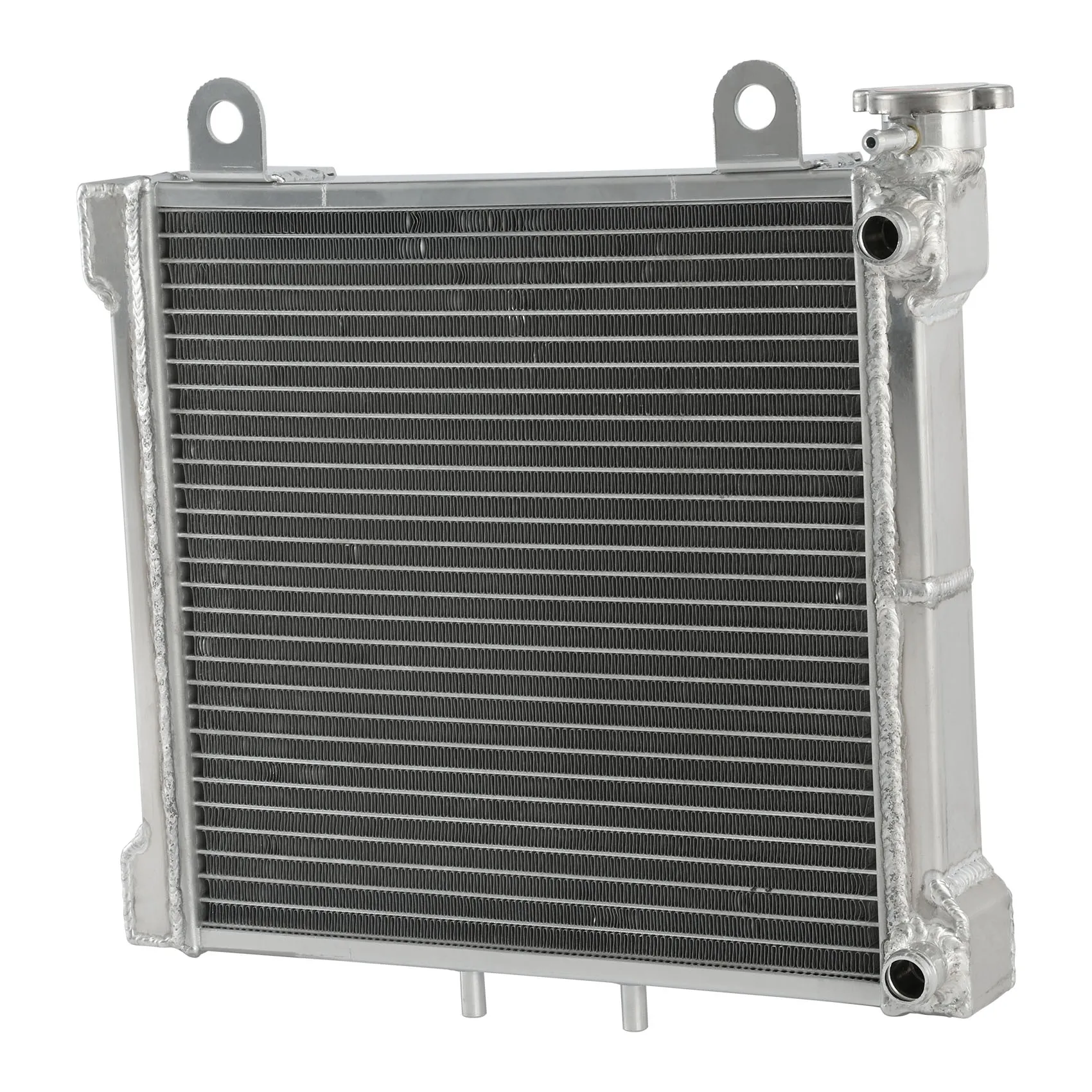 Aluminum Radiator Fit For Canam DS650 2001-2005 DS650X 2004-2007 DS650 Baja 2002-2004