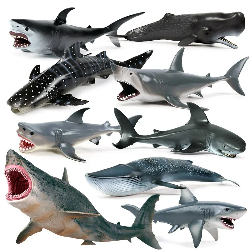 Simulation Marine Animal Blue Whale Figurine Megalodon Beluga Cachalot Sea Life Action Figures Hammerhead Shark Humpback PVC Toy