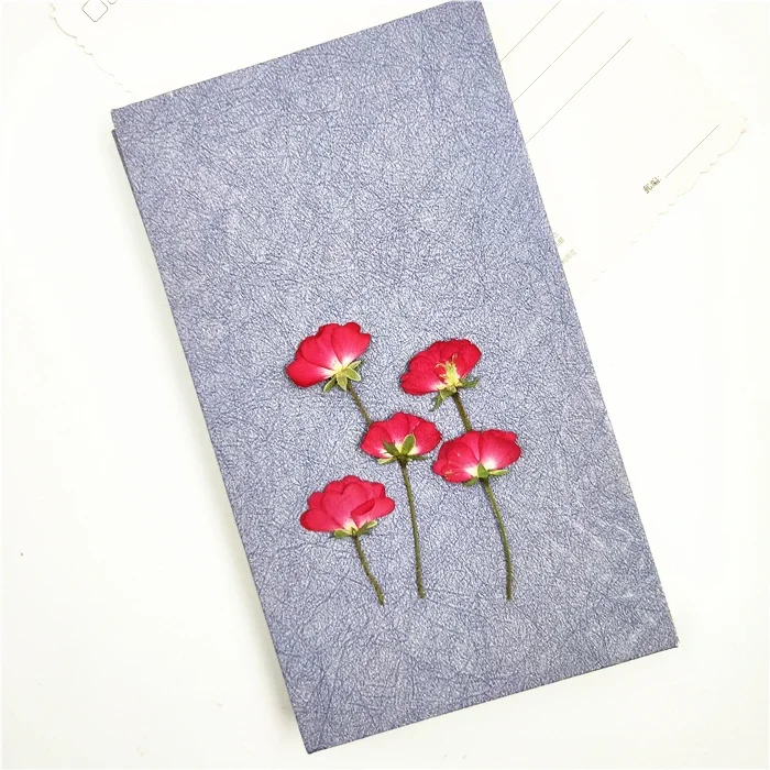 20-24pcs,Natural Pressed Roses with stem,Eternal Dried rose Flower for DIY Wedding invitations Craft Photo Bookmark Gift Cards