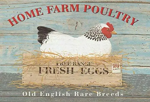 Free Range Fresh Eggs Theme Metal Tin Sign 8x12 Inch Home Kitchen Travel Decor Retro Tin Sign sign