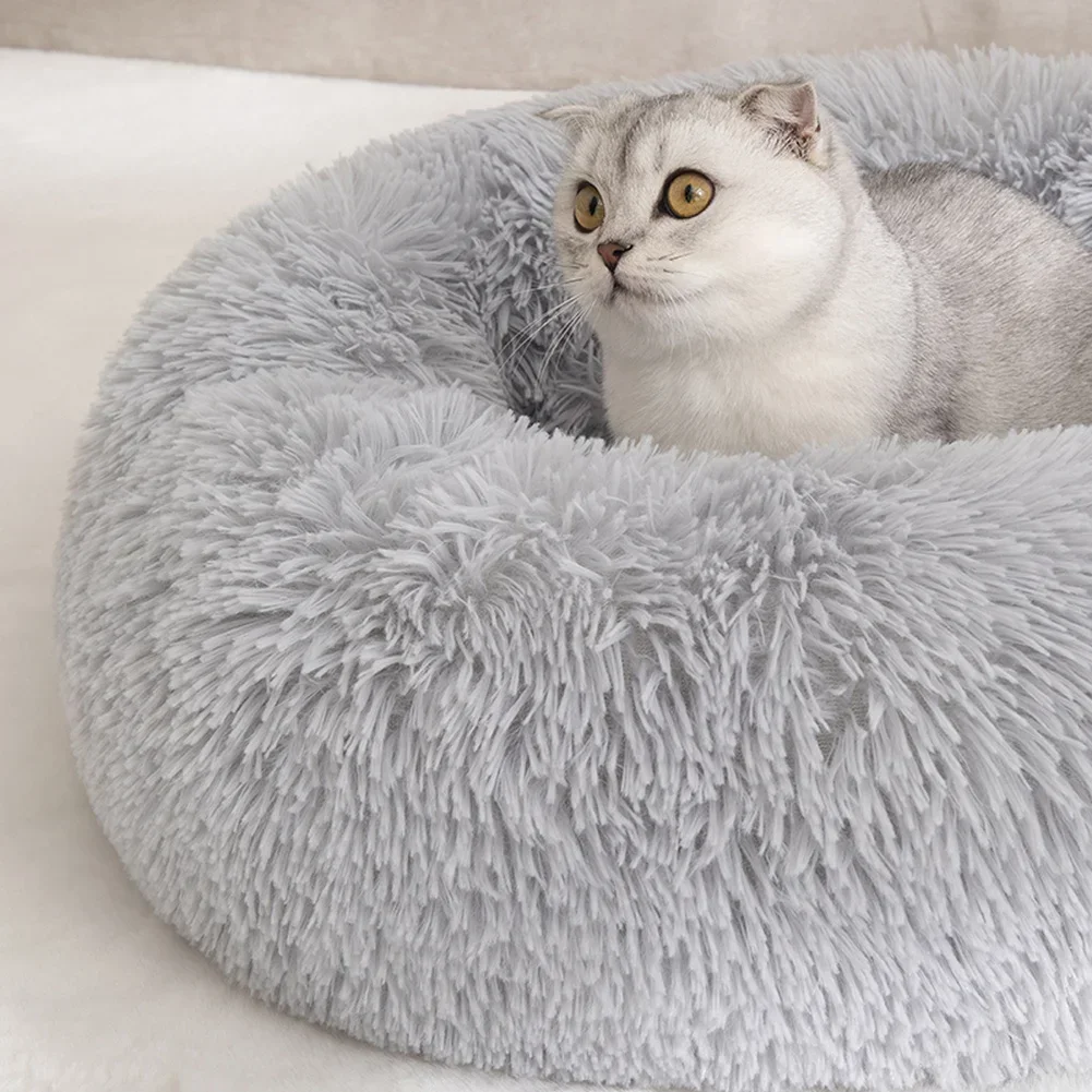 Thumbnail 2 - #31 Cat Beds Comparison Guide
