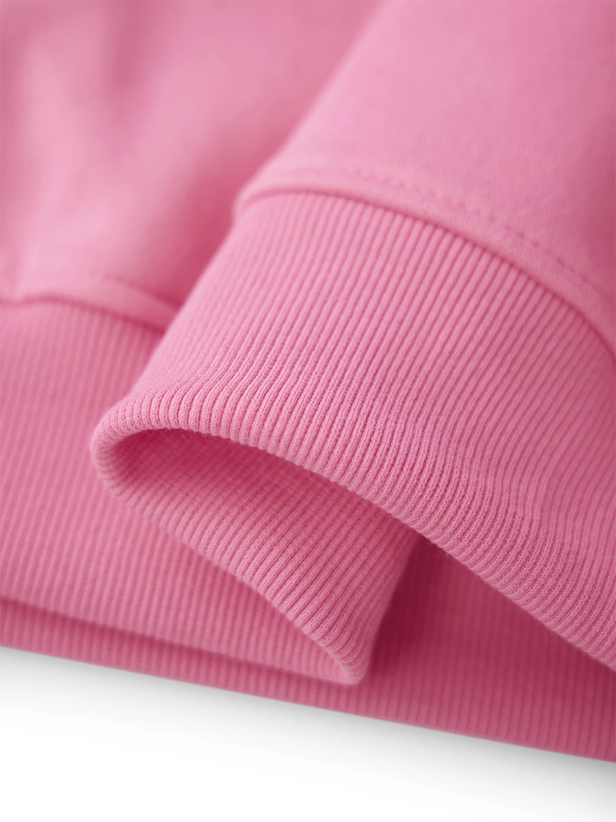 Lose Hoodies für Damen, bestickt, mit Kapuze, langärmelig, Pullover, Herbst und Winter, lässige Oberteile