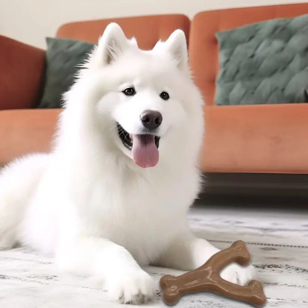 Jouet à mâcher en forme de Y pour chien, bâton de dentition en Nylon résistant à l'usure, résistant aux morsures marron, jouet interactif d'entraînement pour animaux de compagnie, chiot