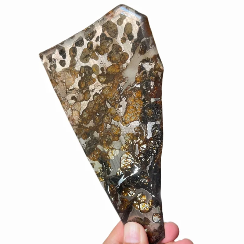 Seymchan Pallasite Meteorite Irregular Polished Slice Natural Olivine Crystal Cosmic Mineral Specimen Space Rock TA810