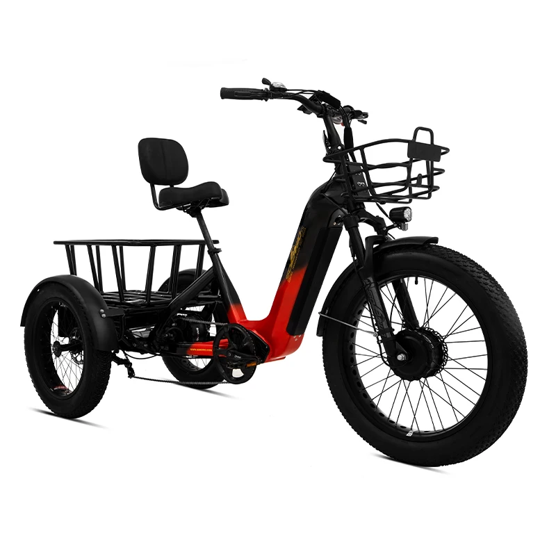 Factory Shimano 2000W Dual Motor Electric Tricycle 40ah Torque Sensor E Trike Dual Batteries Etricycle for Adults