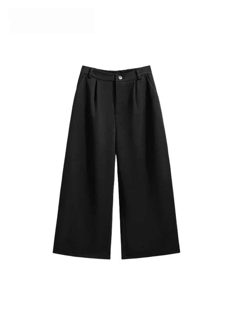 

High Waist Straight Leg Suit Pants for Women Casual Wide Leg Trousers plus Size Pear ape Body Spring Season Casual Pants
