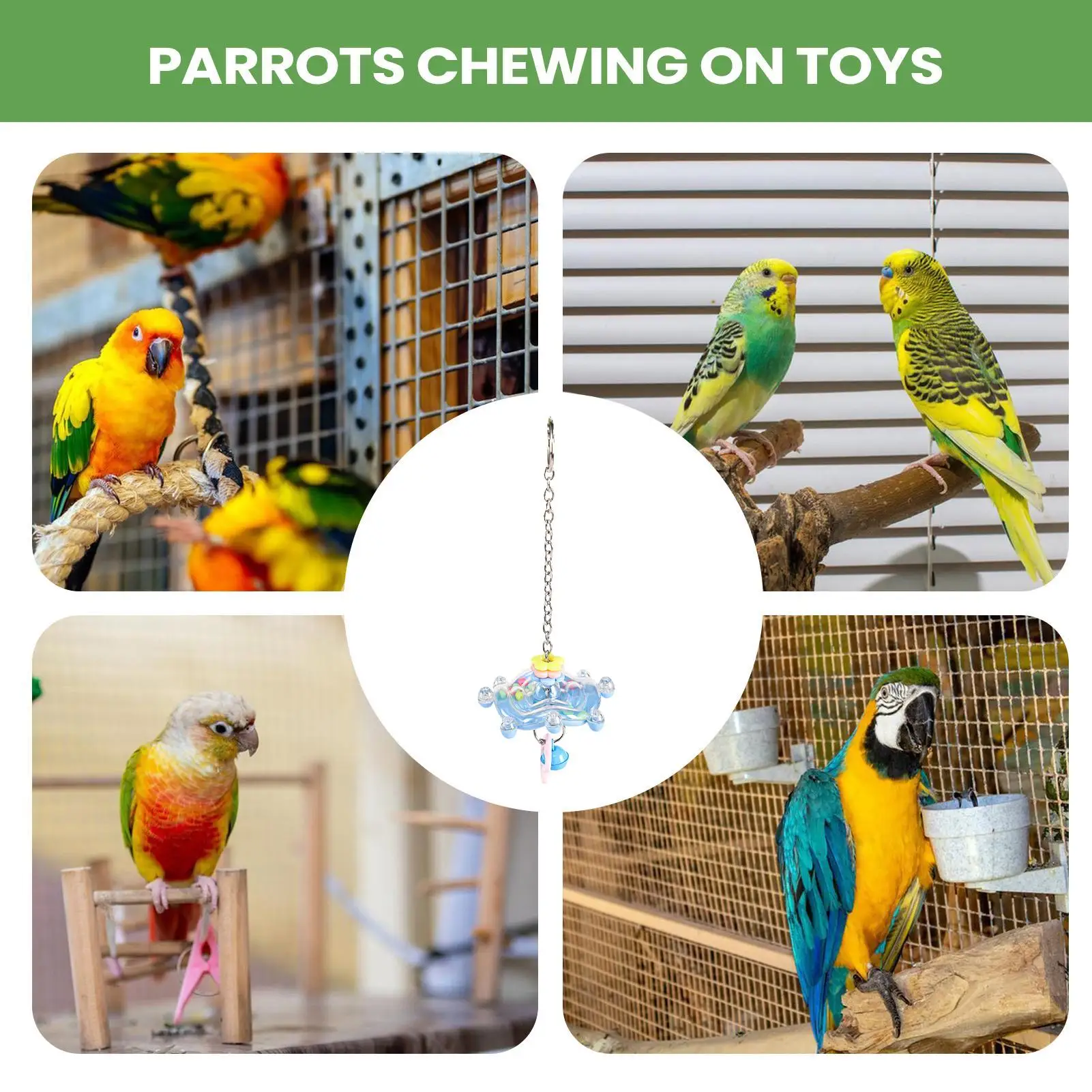 Sparrow Spinner Toys Pet Exercise Supplies Sparrow Toys Spinner Wheel For Macaws Lovebird Conures Cockatiels Finches Indoor
