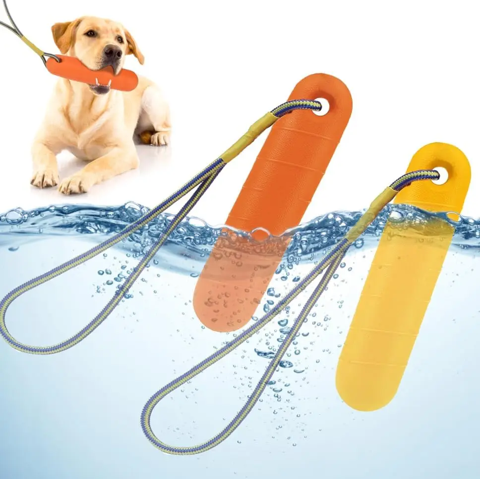 Floating Dog Water Toy, Sturdy and Durable Interactive 2-Piece Catch Ball Bumper Ball Set with Durable Rope