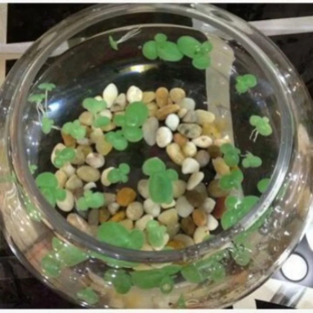 Artificial Water Hyacinth Roots Plastic Floating Plants Imitation Lotus Leaf Decor For Fish Tank Aquarium Landscape Decoration