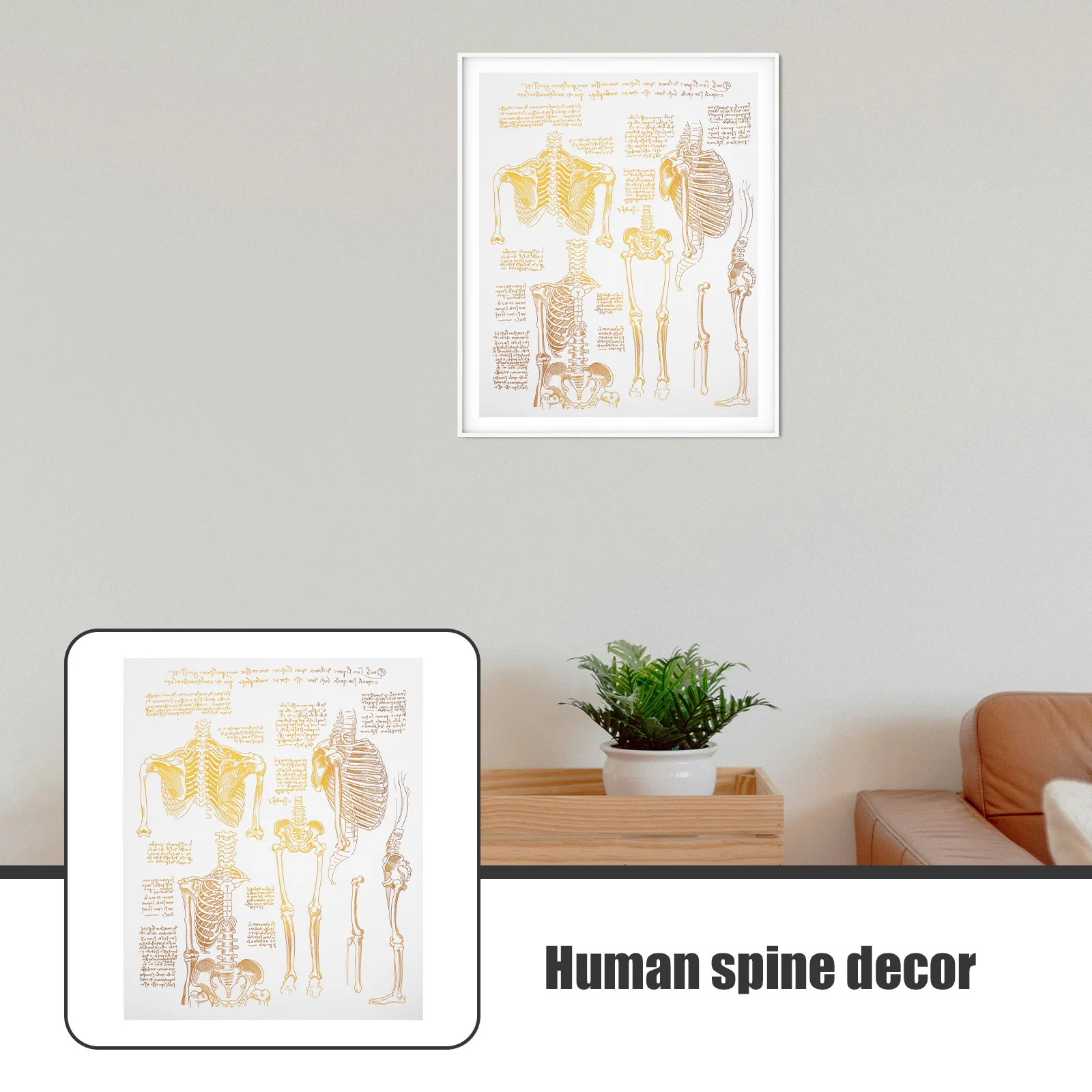 

Human Spine Canvas Wall Art Nordic Minimalist Durable Hospital Decor Anatomy Poster Wall Decoration