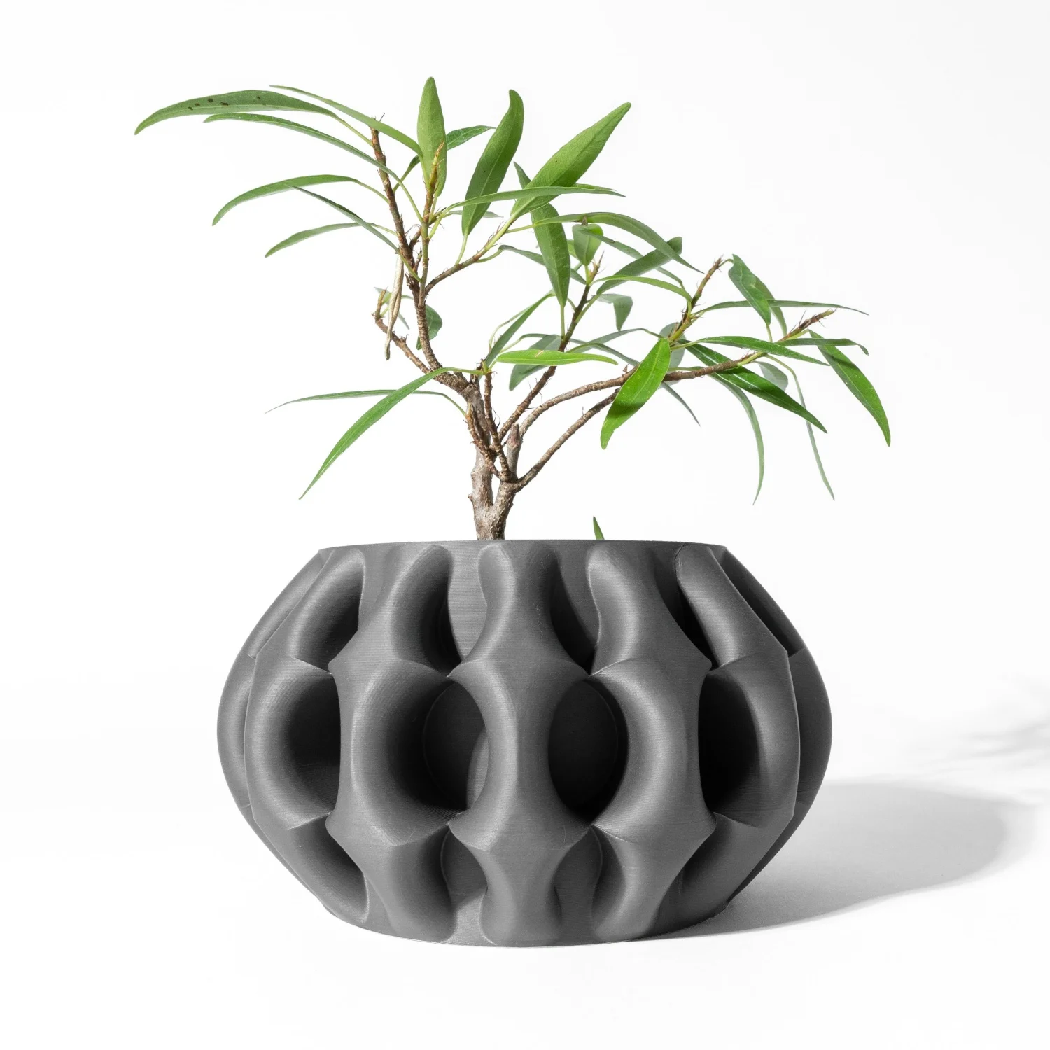 

Modern Minimalist 3D Printed Plant Pot – Biodegradable Flower Planter for Home Decor, Eco-Friendly Sustainable Gift (Xiomu)