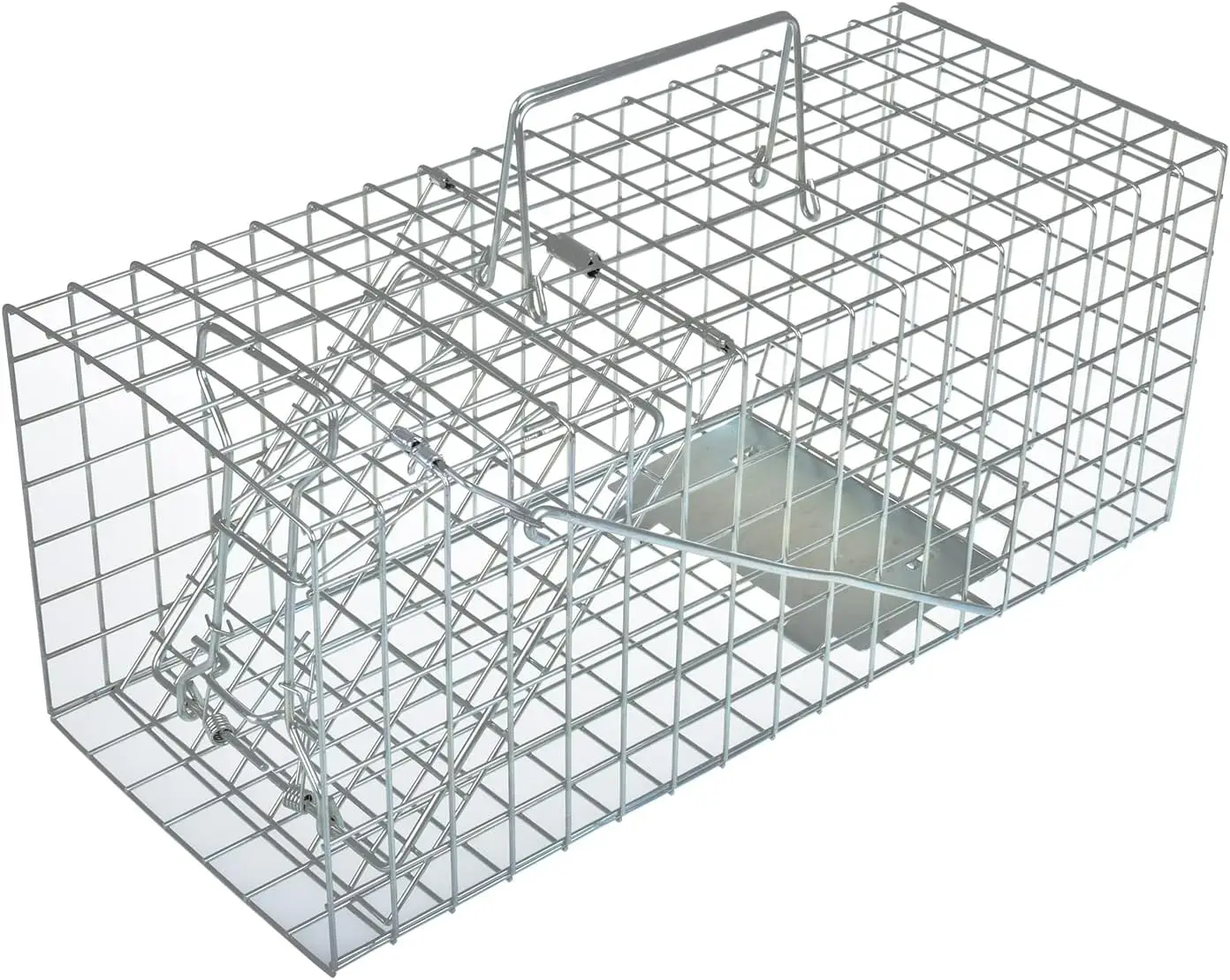 

Heavy Duty Live Animal Cage Trap for Squirrels, Humane and Effective (Not for Large Animals)
