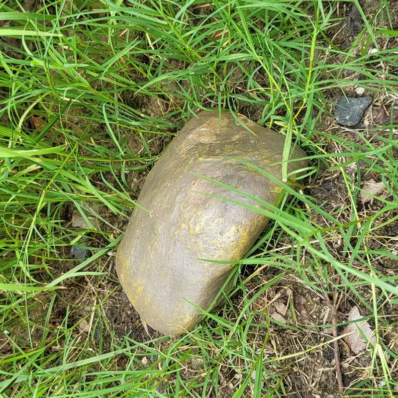 Caja de llaves de jardín de repuesto al aire libre, roca Hiddens, oculta en piedra, seguridad, almacenamiento seguro, contenedores ocultos, Mini piedra de imitación de resina segura