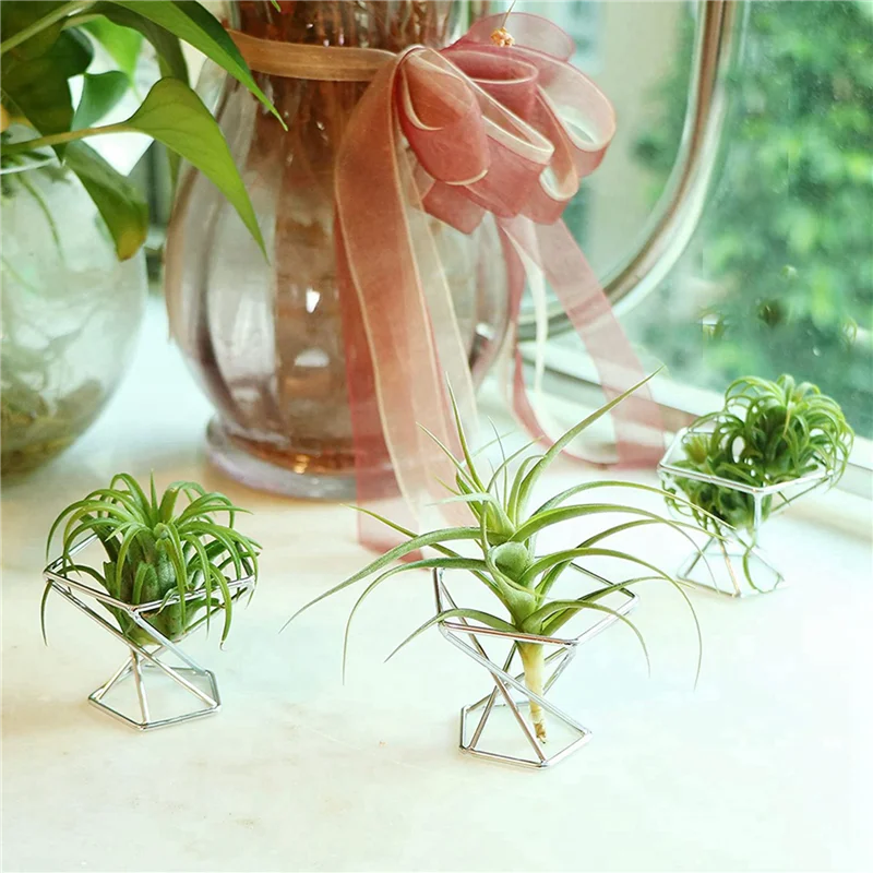 ABWR-Pack 10 에어 플랜트 홀더 에어 플랜트 홀더 틸랜디아 디스플레이 공기 정화 식물 컨테이너 에어 펀치 스탠드, 실버