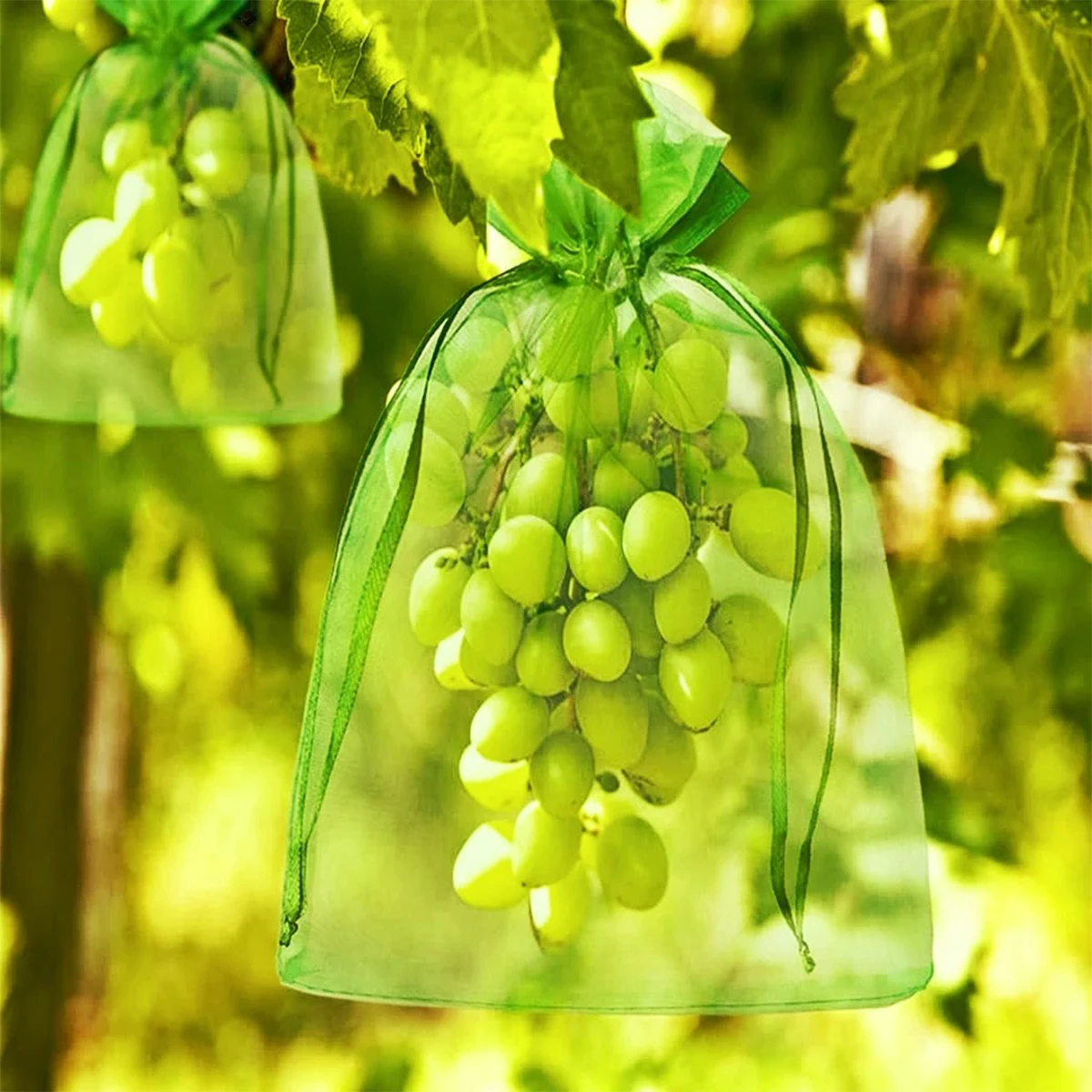 50pcs Grapes Fruit Protection Bags Garden Mesh Bags Agricultural Orchard Pest Control Anti-bird Netting Vegetable Bags