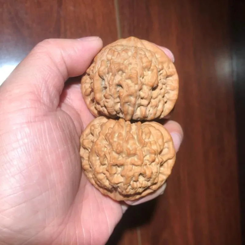 1 Pair 52mm Large Bumpy Texture Official Hat Walnuts Natural Wild Old Tree Wenwan Hand Massage Fidget Toy Collectible Premium