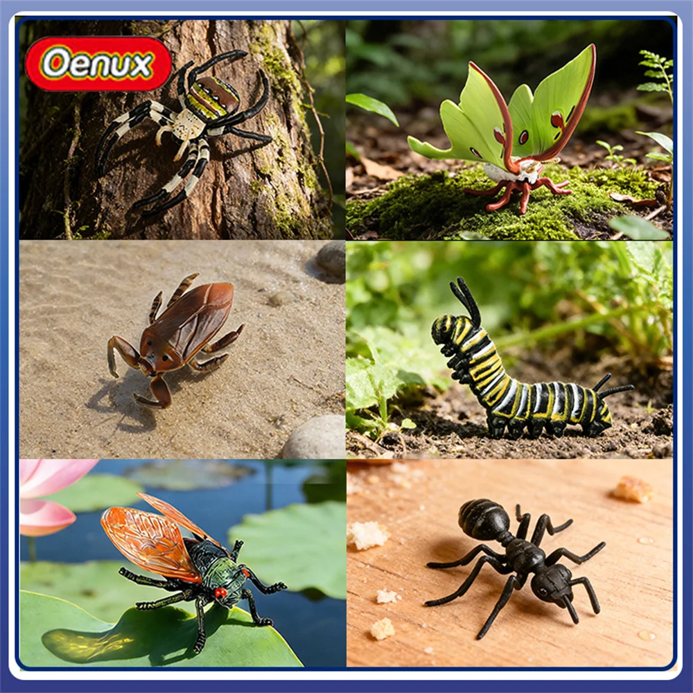 Реалистичные фигурки насекомых Oenux: паук, мотылек, оленьи брёны, водяные насекомые, гусеницы, цикады, модели муравьев для диорам и декора рабочего стола