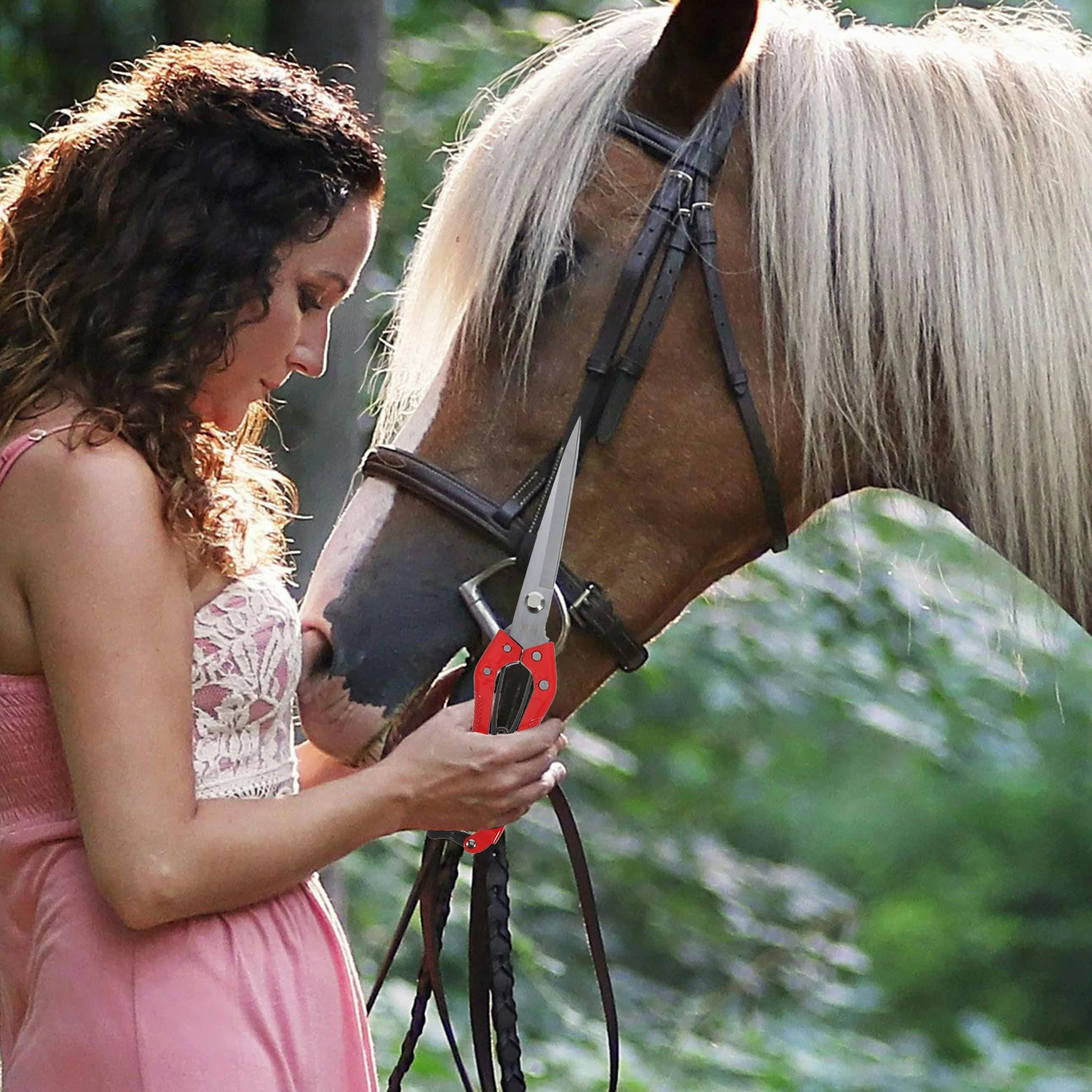 Рисунок 3 - Ножницы для фермерской шерсти