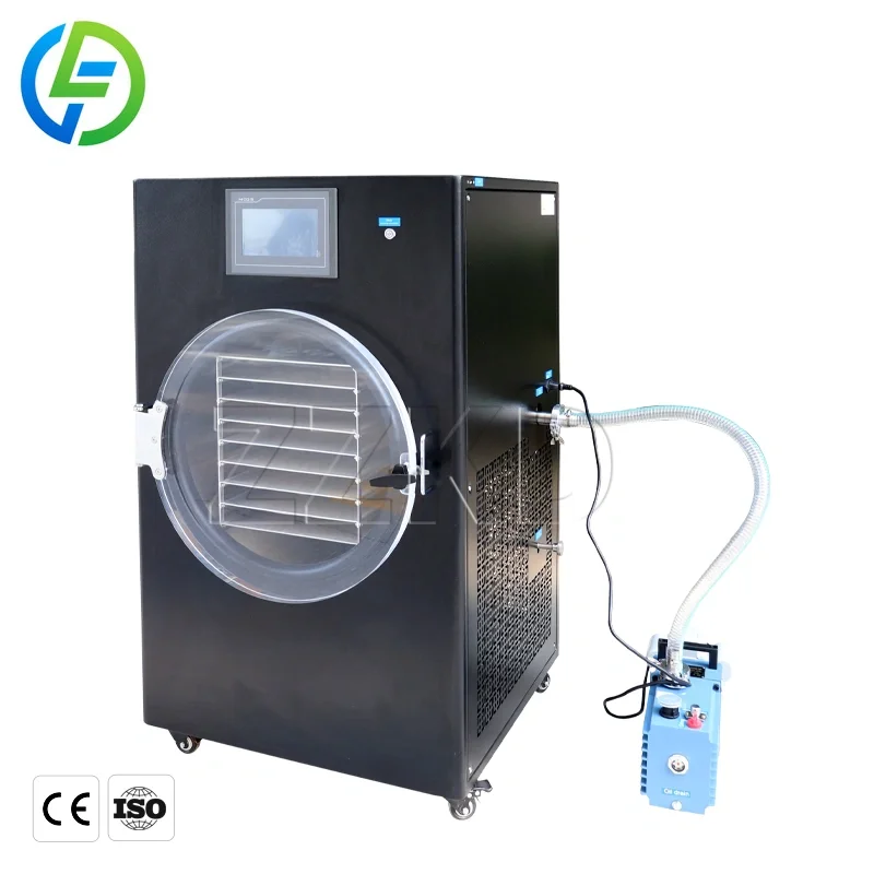 EU Standard Household Freeze Dryer 8kg 10kg 15kg Freeze Dryer Machine Lyophilizer in Philippines