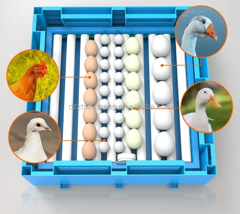 Mini Automatic Egg Incubator 192 Eggs Incubator 12 Volt Battery Egg Hatching Machine Price