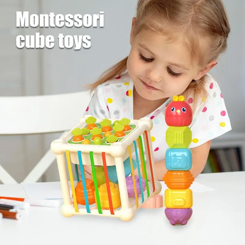 

Baby Sensory Bin Shape Sorter Colorful Cube Sorting Game Shape Blocks Montessori Educational Toys Game For Boy Girl