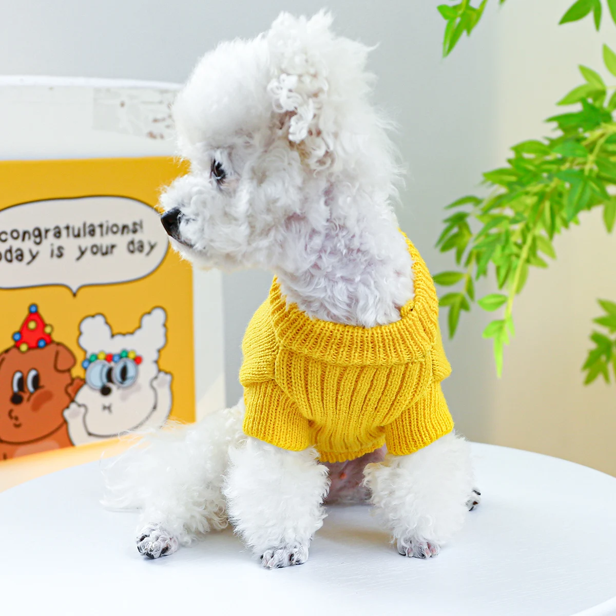 1PC Pet Wear Dog Spring, Autumn, and Winter Warm 3D Yellow Lovely Dinosaur Knit Pullover Sweater For Small Medium Dogs