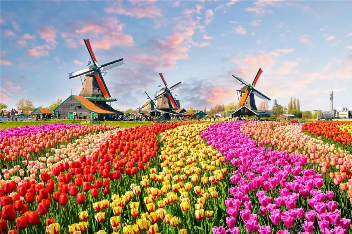 46*28cm Jigsaw Puzzles 500 Pieces Paper Landscape Oil Painting Art Decompression Toys for Adults Family Games Dutch Windmills