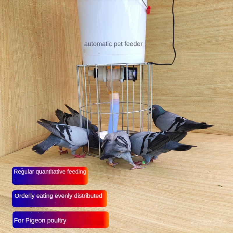 Imagem -03 - Pigeon Fornece Utensílios Alimentador Automático Pombo Calha Auto-ajuda Cronometragem Fixo-ponto Frango Pombo Alimentação Artefato 110 220v