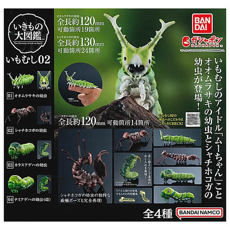 Caliente Bandai japonés Gashapon huevo gran mapa biológico de gusano insecto simular biología conjunta modelo móvil Juguetes