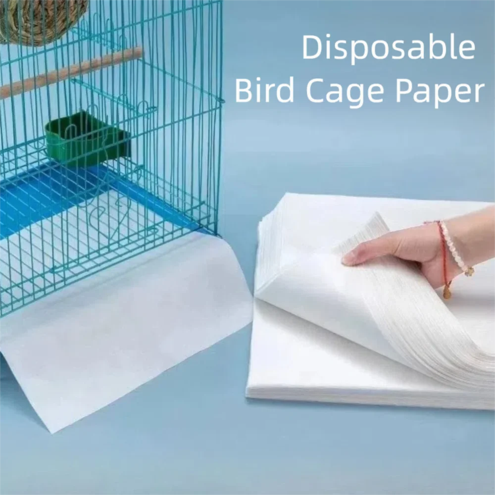 #66 Best Bird Supplies to Buy In 2026