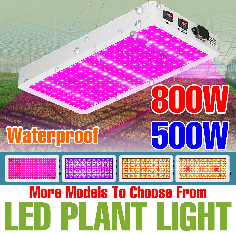 lampara-led-de-cultivo-interior-de-espectro-completo-de-800w-quantum-board-para-plantas-invernadero-cultivo-de-vegetales-semillas-y-frutas