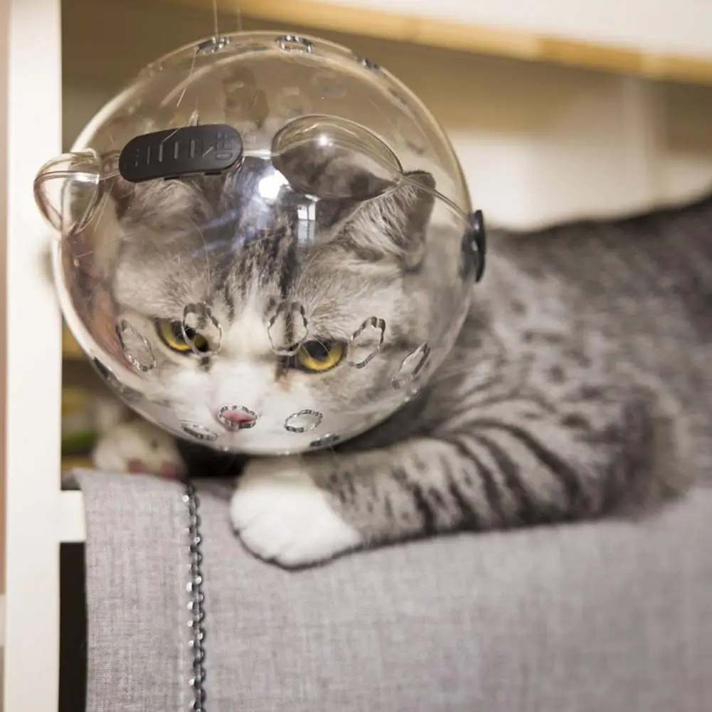 Safe Cat Grooming Tools Cat Helmet Muzzle Breathable Anti-bite Grooming Mask Transparent Ball Hood for Cats Preventing Biting