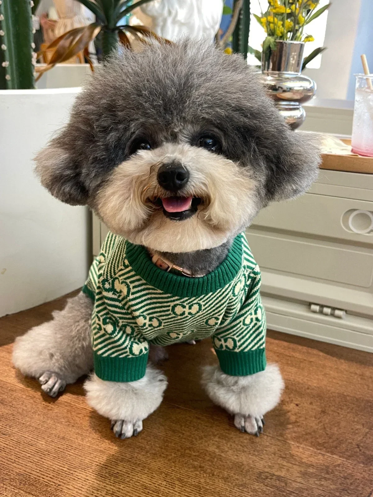 

Pet Internet Celebrity Clothes Dog Cat Teddy Pomeranian Corgi Schnauzer Spring and Autumn Warm Pullover Sweater