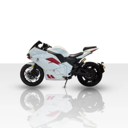 Popular DK Heavy Motorcycle 3kw/4kw/5kw/10kw Wheel Motor Cruiser Electric Motorcycles