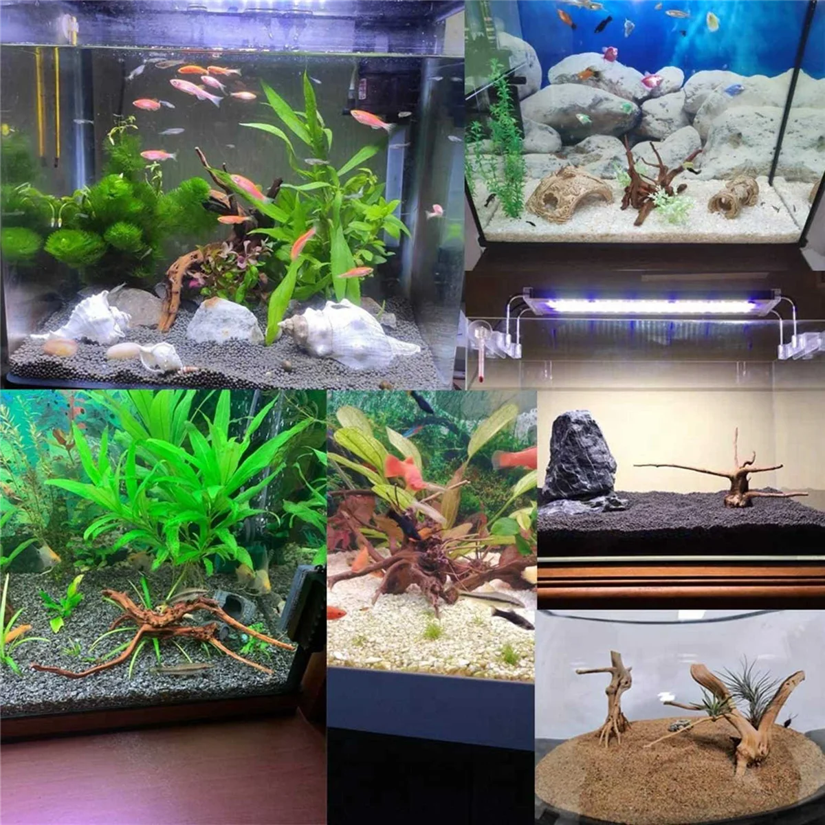 Mini-Treibholz für Aquarien, natürliche Holzzweige, Aquariumdekorationen, Baumstamm, Treibholz, sortiert (10er-Pack)