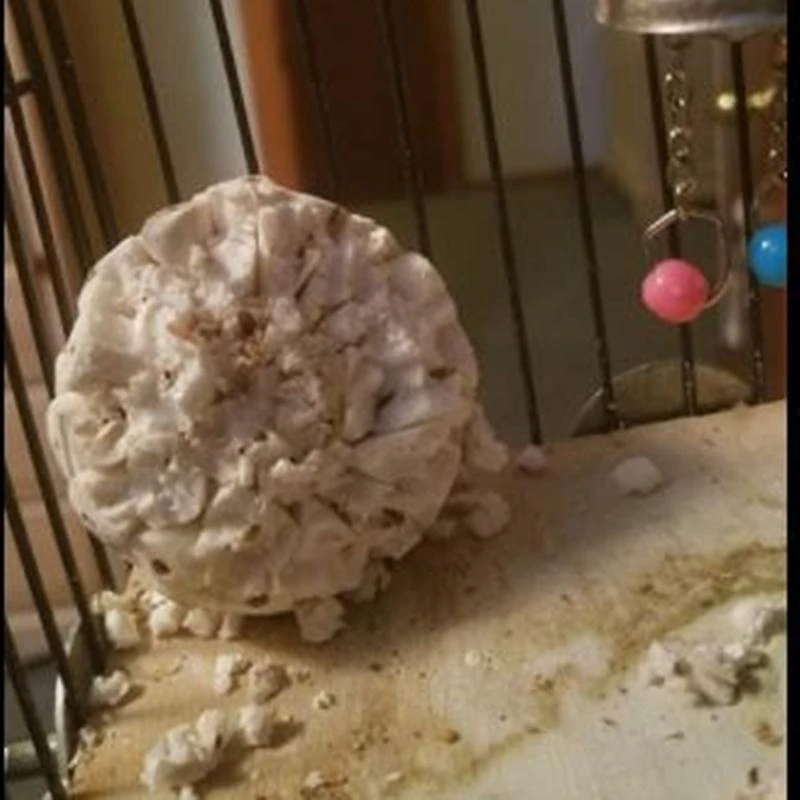 3pcs Bird Chew Toy Natural Sola Ball 2.36in ألعاب علف لبودجي فينش ماكاو