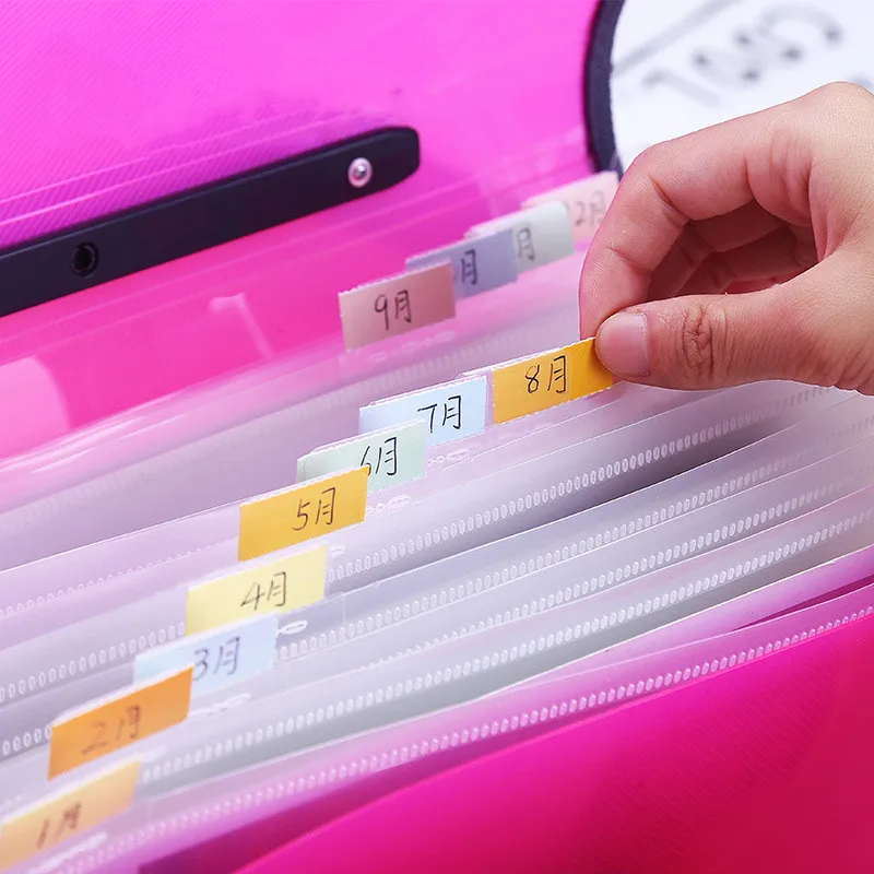 Plastic File Wallet Accordion Folder 13 Pockets Expanding File Folder with Handle Expandable Document Organizer with Flap&Buckle
