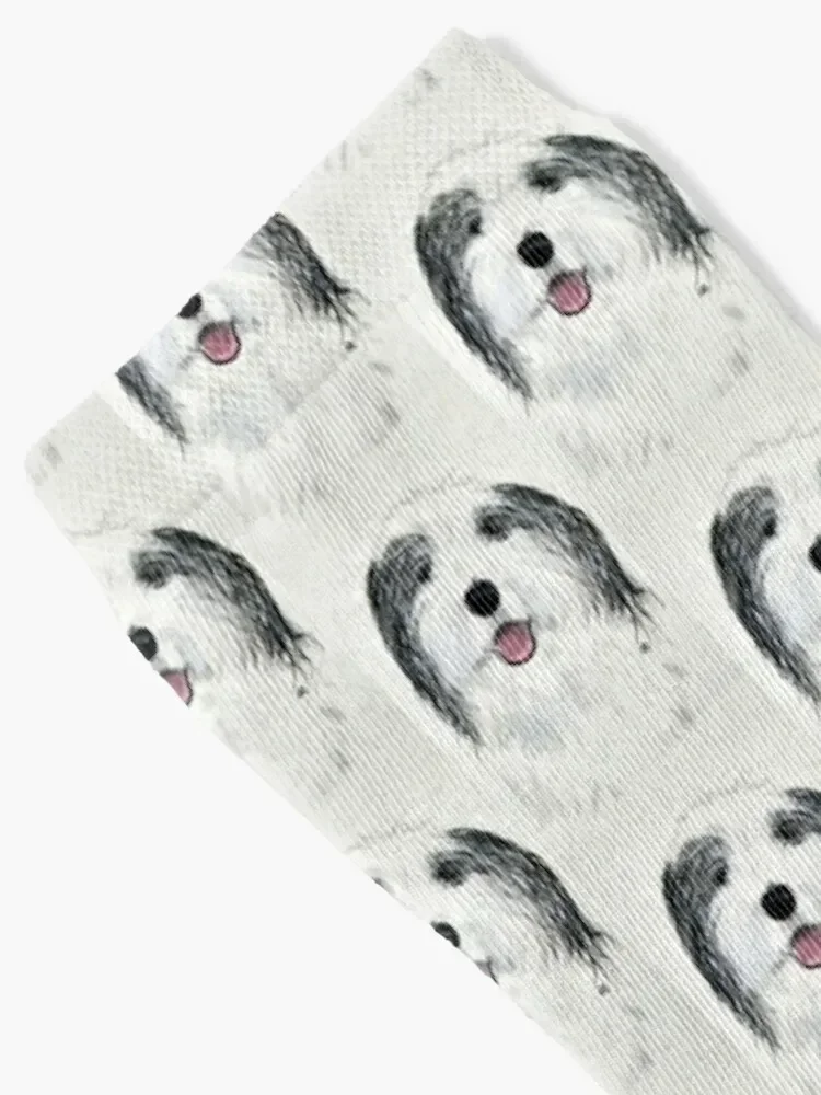 Teddy Sheepadoodle Socks funny sock Christmas floral Run Men Socks Women's