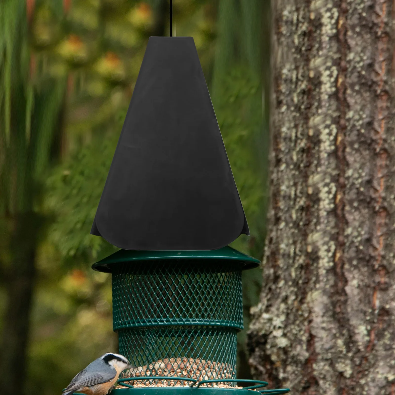 Anti-Eichhörnchen-Trennwände, Vogelfutterspender, Schildschutz, The Birds Abs Weather Cover