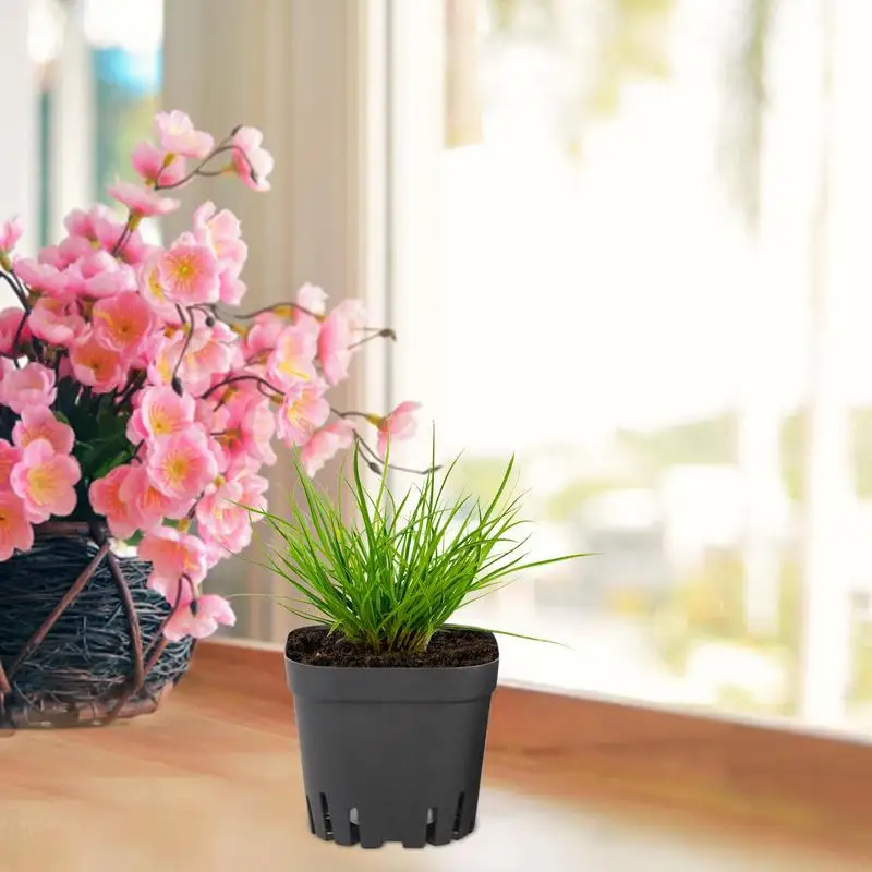 كاتب الأواني لزراعة 50 قطعة قابلة لإعادة الاستخدام الأسود مربع الشتلات الأواني وعاء الحضانة مع ثقوب الصرف البستنة عدة للنباتات #3