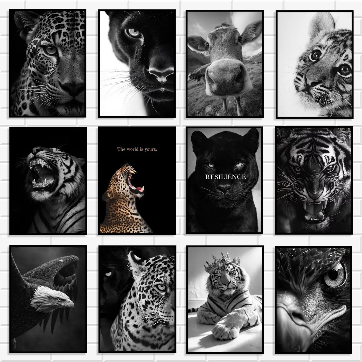 Black and White Wild Animal Canvas Wall Set Tiger Panther Leopard Eagle Inspirational Wildlife Prints for Man Cave Home Decor