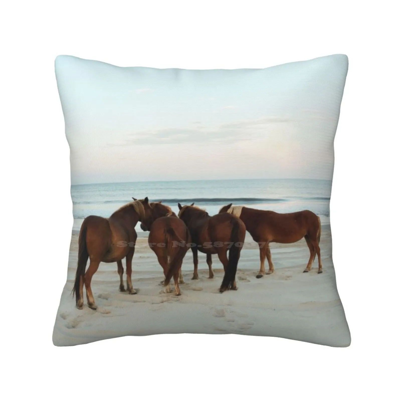 Coastal Horse Meeting Home Sofa Car Waist Throw Pillowcase Horse Beach Coast Ocean Atlantic Wildlife Sunset Outdoors Nature